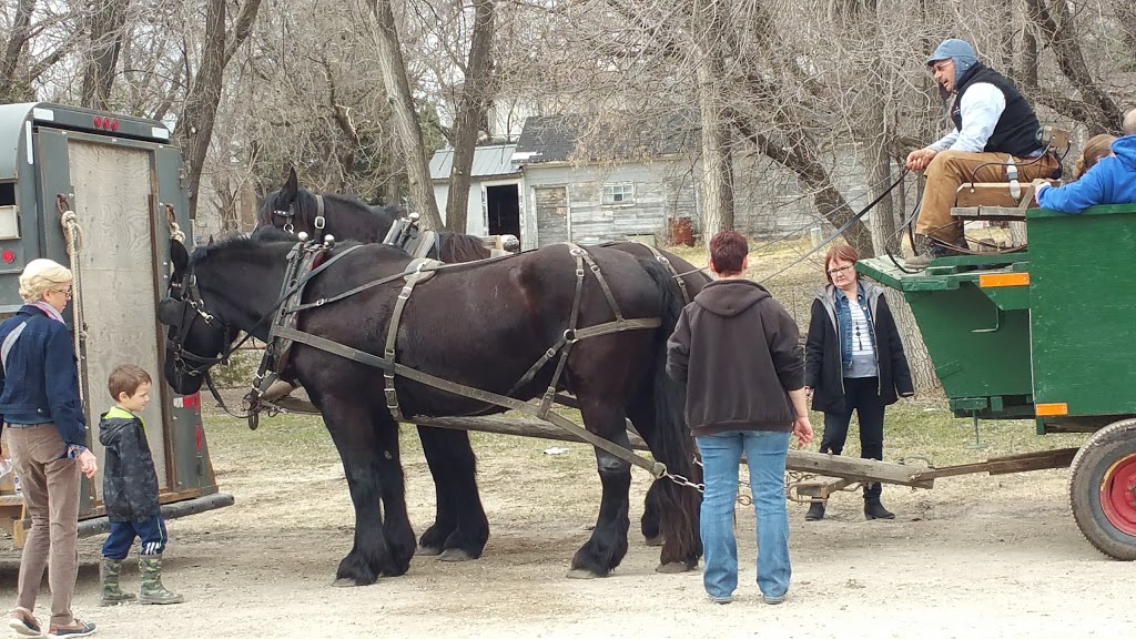 St Pierre Jolys Museum | 432 Rue Joubert, Saint-Pierre-Jolys, MB R0A 1V0, Canada | Phone: (431) 777-6149