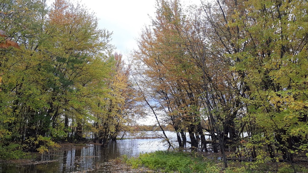 Marais bouthillier | 100 Chemin du Manoir, Rosemère, QC J7A 4R8, Canada