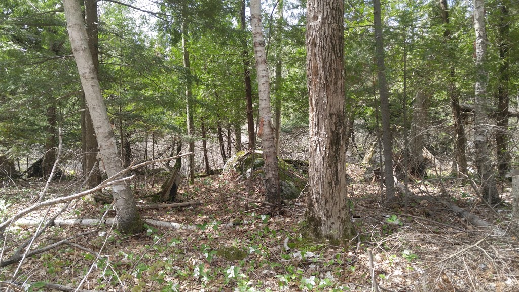 Awenda Provincial Park | Tiny, ON L9M 1R2, Canada