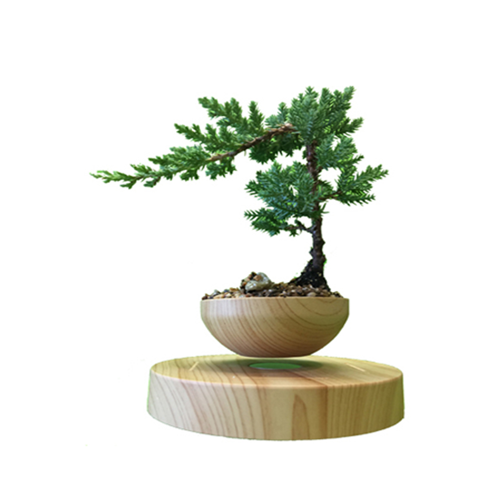 Magasin Bonsai Montréal | 6751 Rue Beaubien E, Montréal, QC H1M 3B2, Canada | Phone: (514) 254-4353