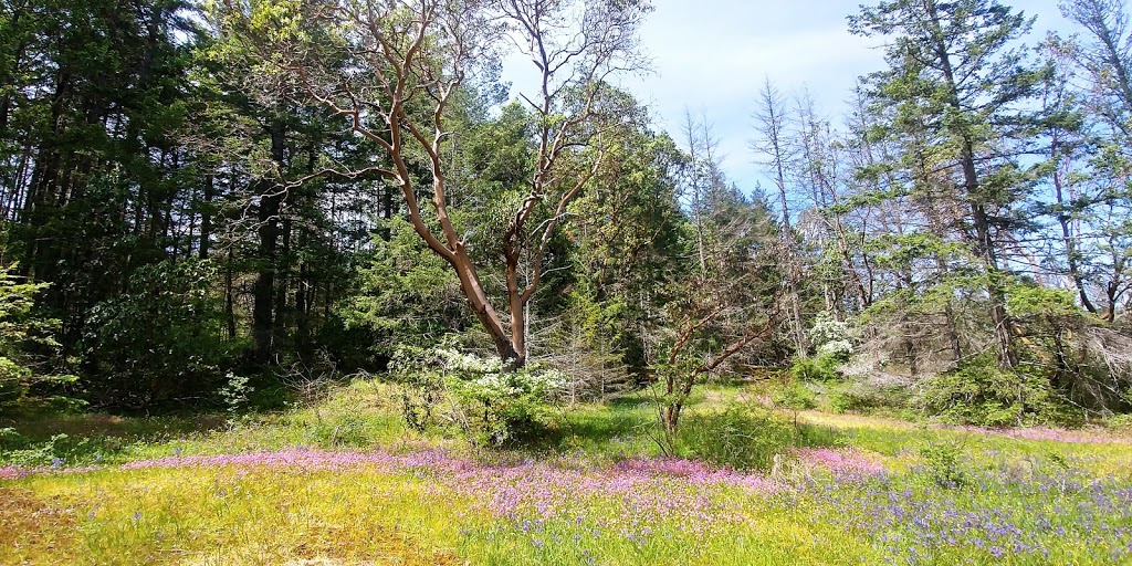 Lotus Pinnatus Park | Nanaimo, BC V9R 5P5, Canada | Phone: (250) 714-5568