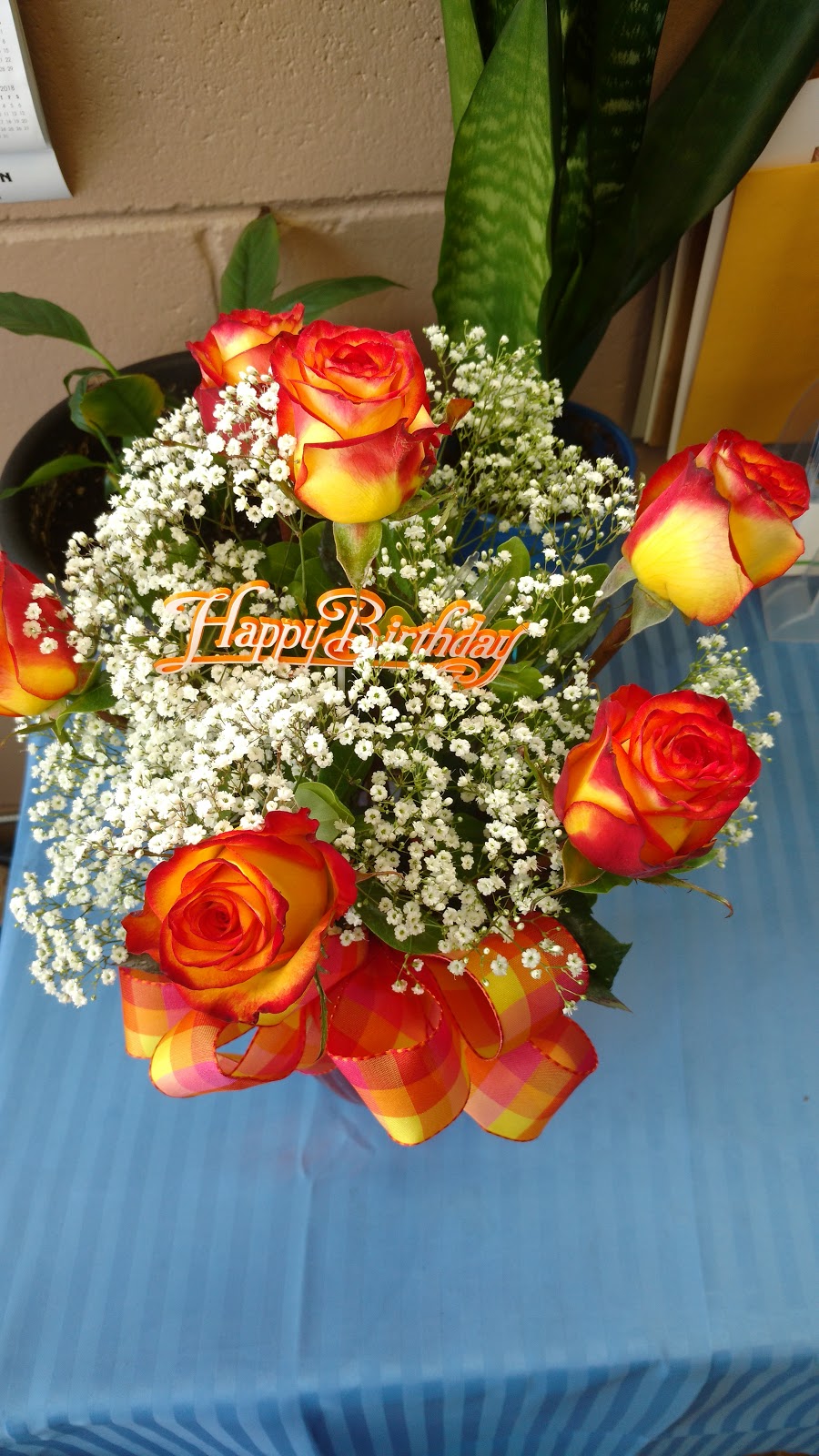 Oak Farms Ltd The Flower Outlet | 96 Oak St W, Leamington, ON N8H 2B6, Canada | Phone: (519) 326-9322