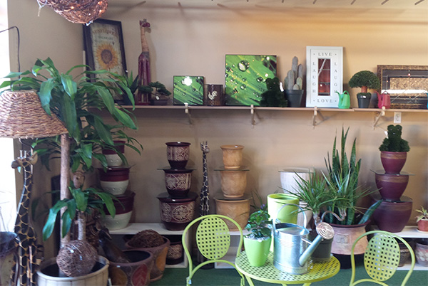 Down 2 Earth Garden Centre | 158 Park Lawn Rd, Etobicoke, ON M8Y 3H8, Canada | Phone: (416) 259-8291