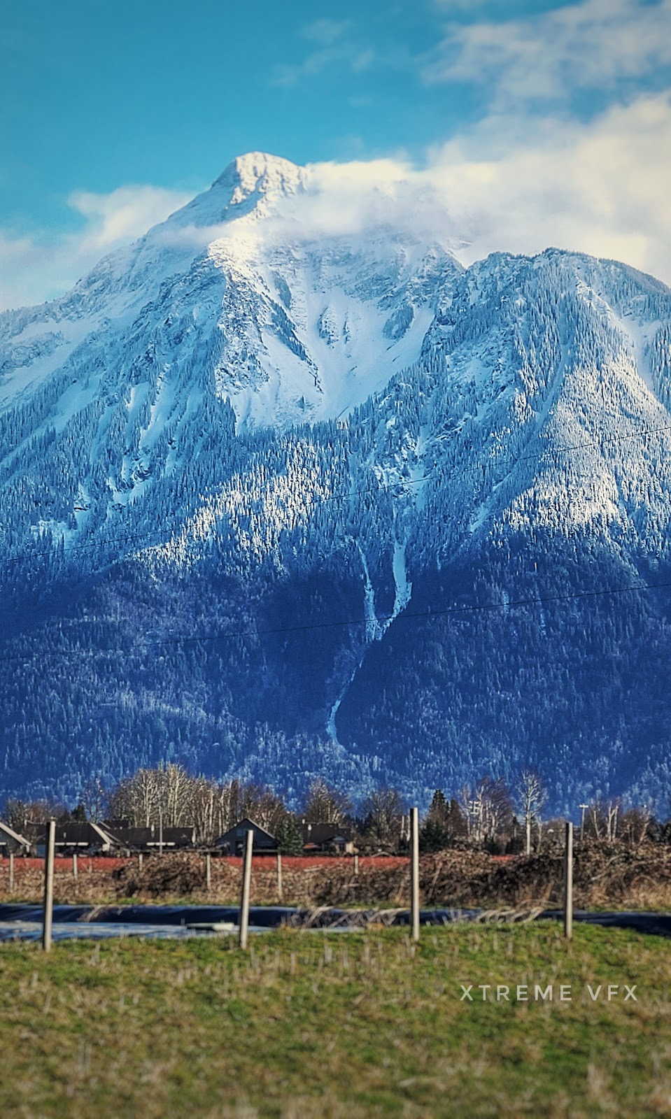 Sasquatch Statue | Harrison Hot Springs, BC V0M 1K0, Canada | Phone: (604) 500-0345