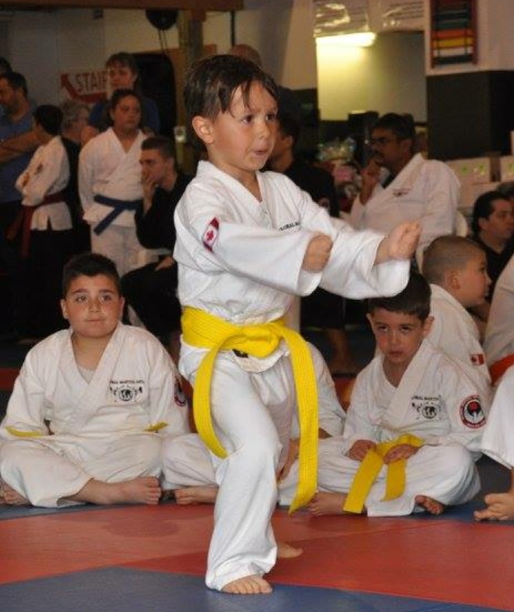 Global Martial Arts Academy | 1200 Stone Church Rd E, Hamilton, ON L8W 2C7, Canada | Phone: (905) 389-2222