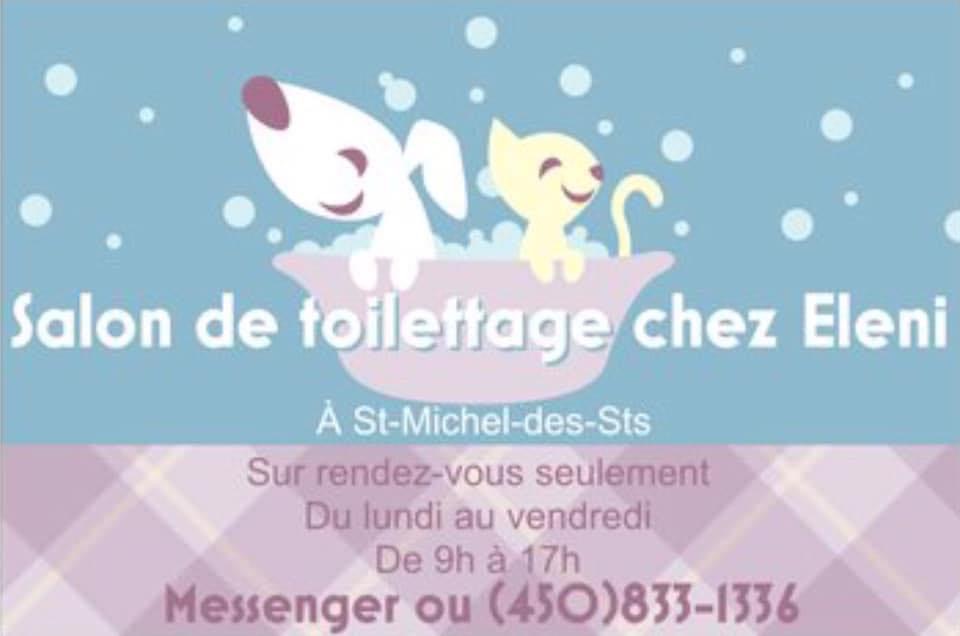 Salon de Toilettage chez Eleni | 391 Rue Granger, Saint-Michel-des-Saints, QC J0K 3B0, Canada | Phone: (450) 833-1336