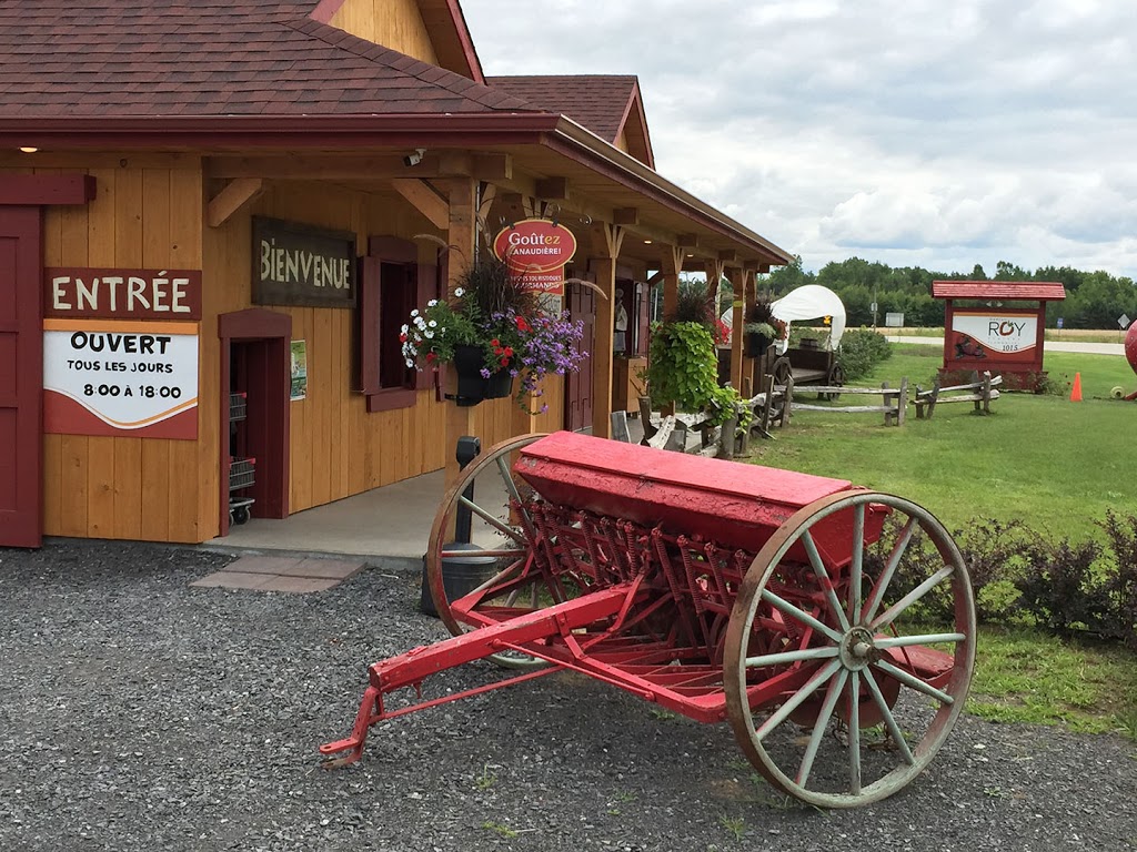 Gaétan Roy Strawberries | 1015 Chemin de Joliette, Lanoraie, QC J0K 1E0, Canada | Phone: (450) 887-0893