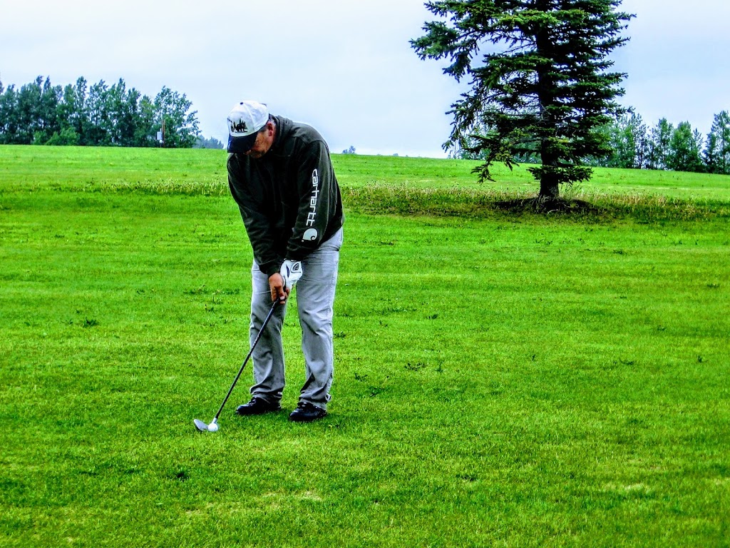 Caroline District Golf Course | SE 11-37-6-W5, Caroline, AB T0M 0M0, Canada | Phone: (403) 722-4653