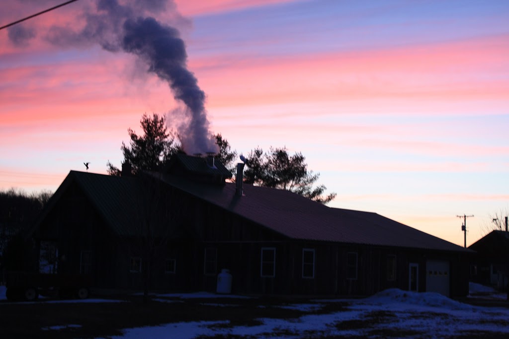 Carman Brook Farm, LLC | 1275 Fortin Rd, Swanton, VT 05488, USA | Phone: (802) 868-2347