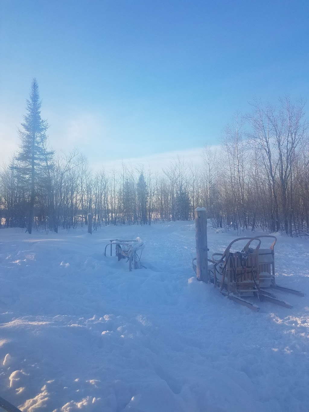 Chien Aventures/Sled Dog Adventures | 5586 route 134, Allardville Parish, NB E8L 1A8, Canada | Phone: (506) 583-1717