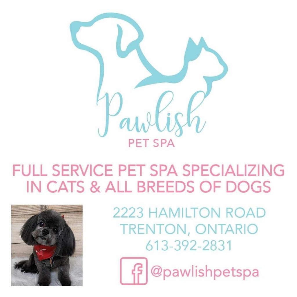 Pawlish pet spa | 2223 Hamilton Rd, Trenton, ON K8V 5P8, Canada | Phone: (613) 392-2831