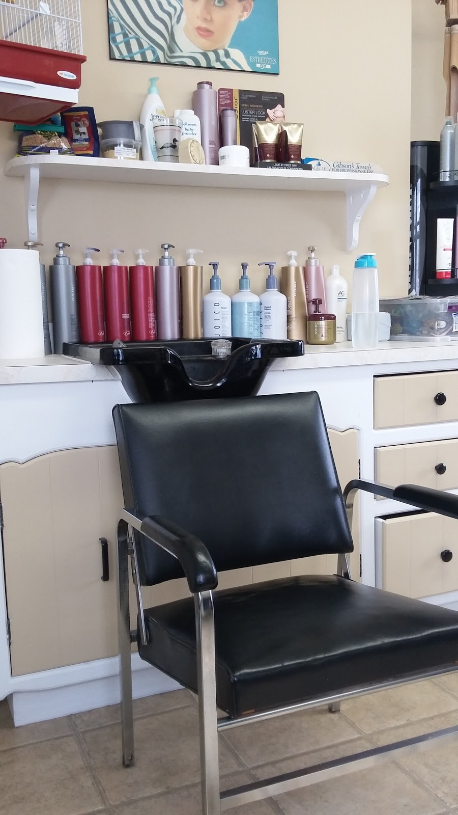 Salon Coiffure Ghislaine | 55 Rue Saint Damase, Saint-Cyrille-de-Wendover, QC J1Z 1R3, Canada | Phone: (819) 397-4005