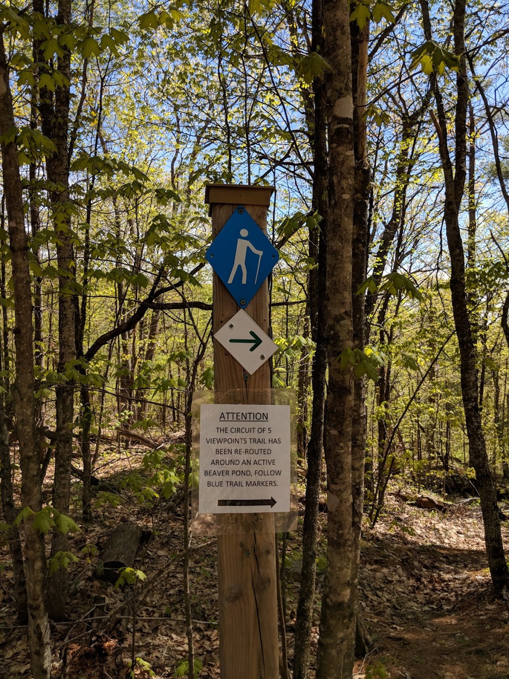 Circuit of Five Viewpoints Trailhead | 2029 Little Hawk Lake Rd, Algonquin Highlands, ON K0M 1J2, Canada | Phone: (705) 766-9033