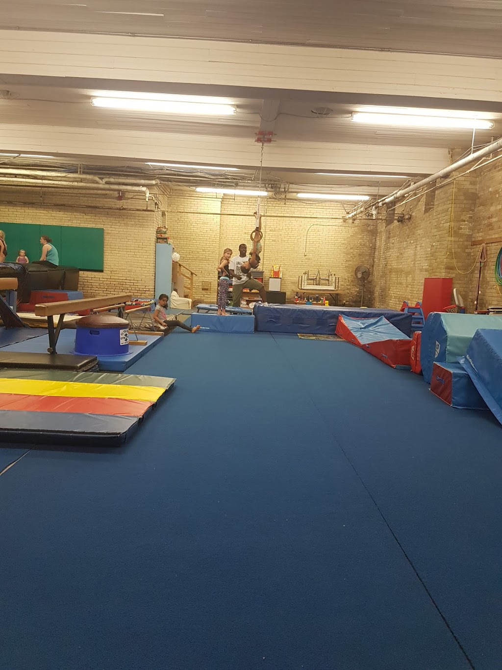 Toronto Premier Gymnastics | 115 Simpson Ave, Toronto, ON M4K 1A1, Canada | Phone: (416) 461-8998