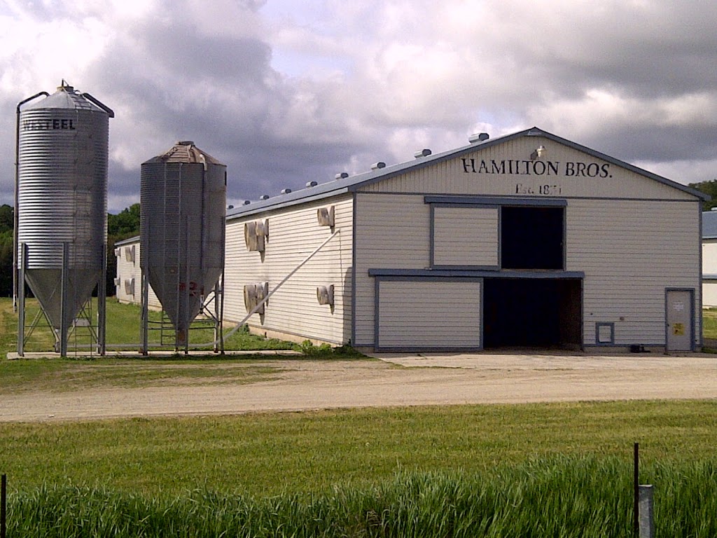 Hamilton Brothers Building and Farm Supplies | 2047 Glen Huron road concession 8, Glen Huron, ON L0M 1L0, Canada | Phone: (705) 466-2244