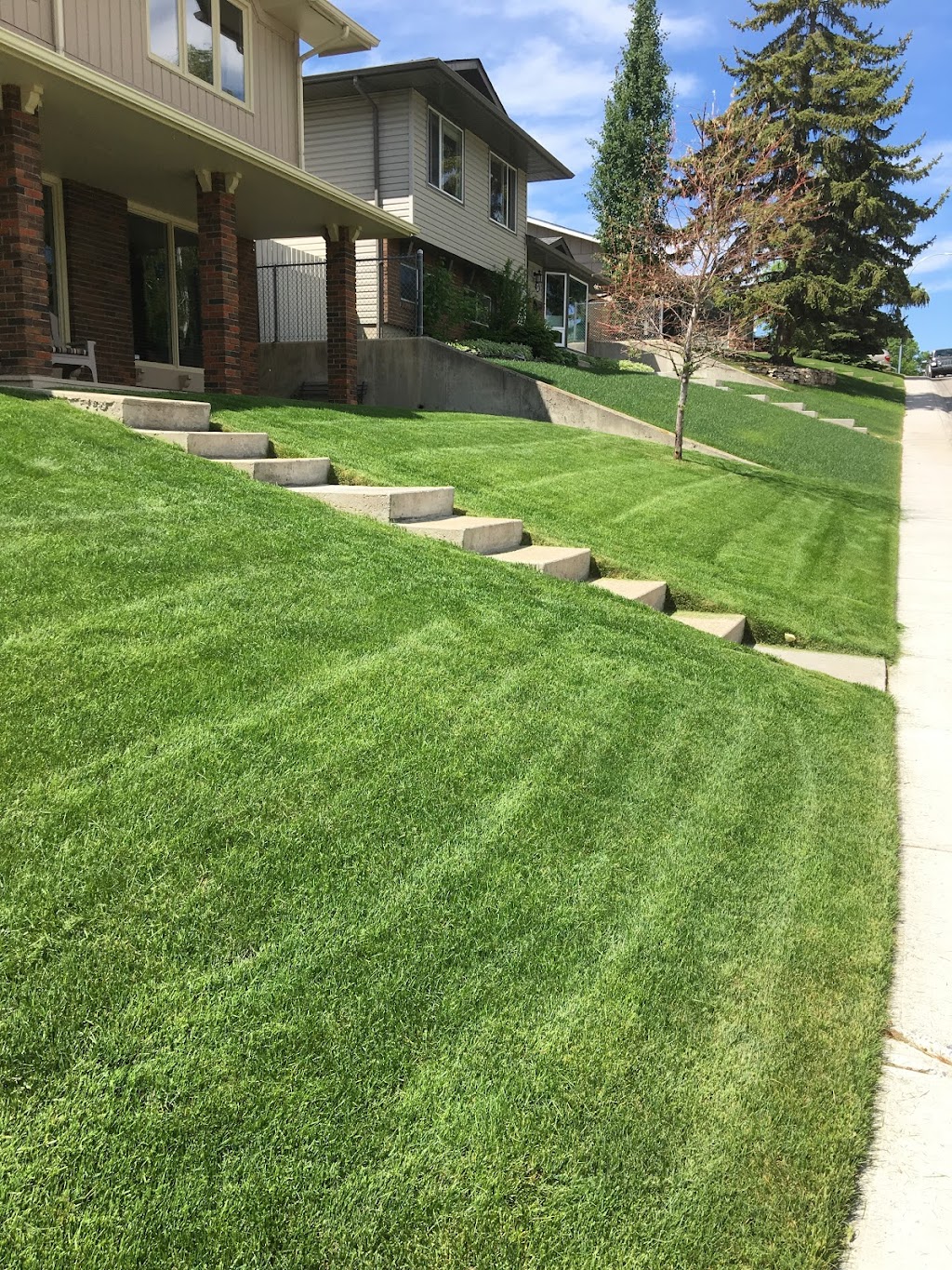 Lawn ‘N’ Order | 7703 68 Ave NW, Calgary, AB T3B 4P4, Canada | Phone: (403) 852-2988