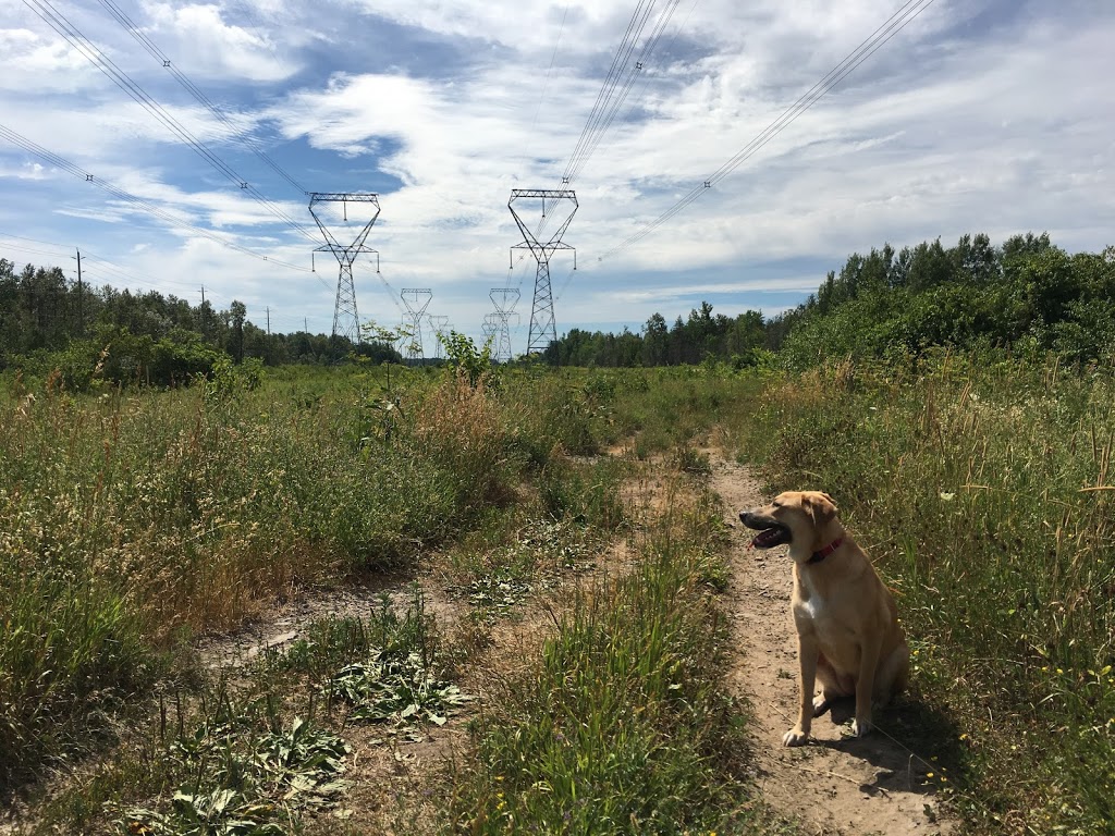 Stittsville Dog Park | Trans Canada Trail, Stittsville, ON K2S 0G8, Canada