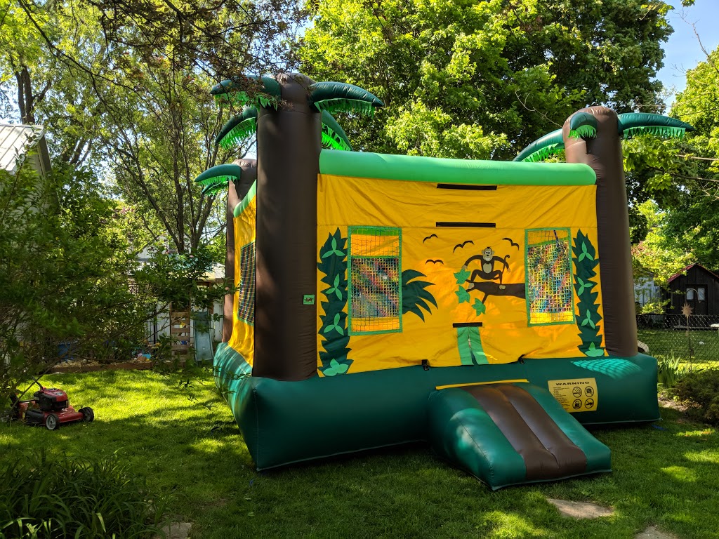 Super Air Bounce Rentals | 305 Quarter Town Line, Tillsonburg, ON N4G 4E6, Canada | Phone: (519) 688-5297