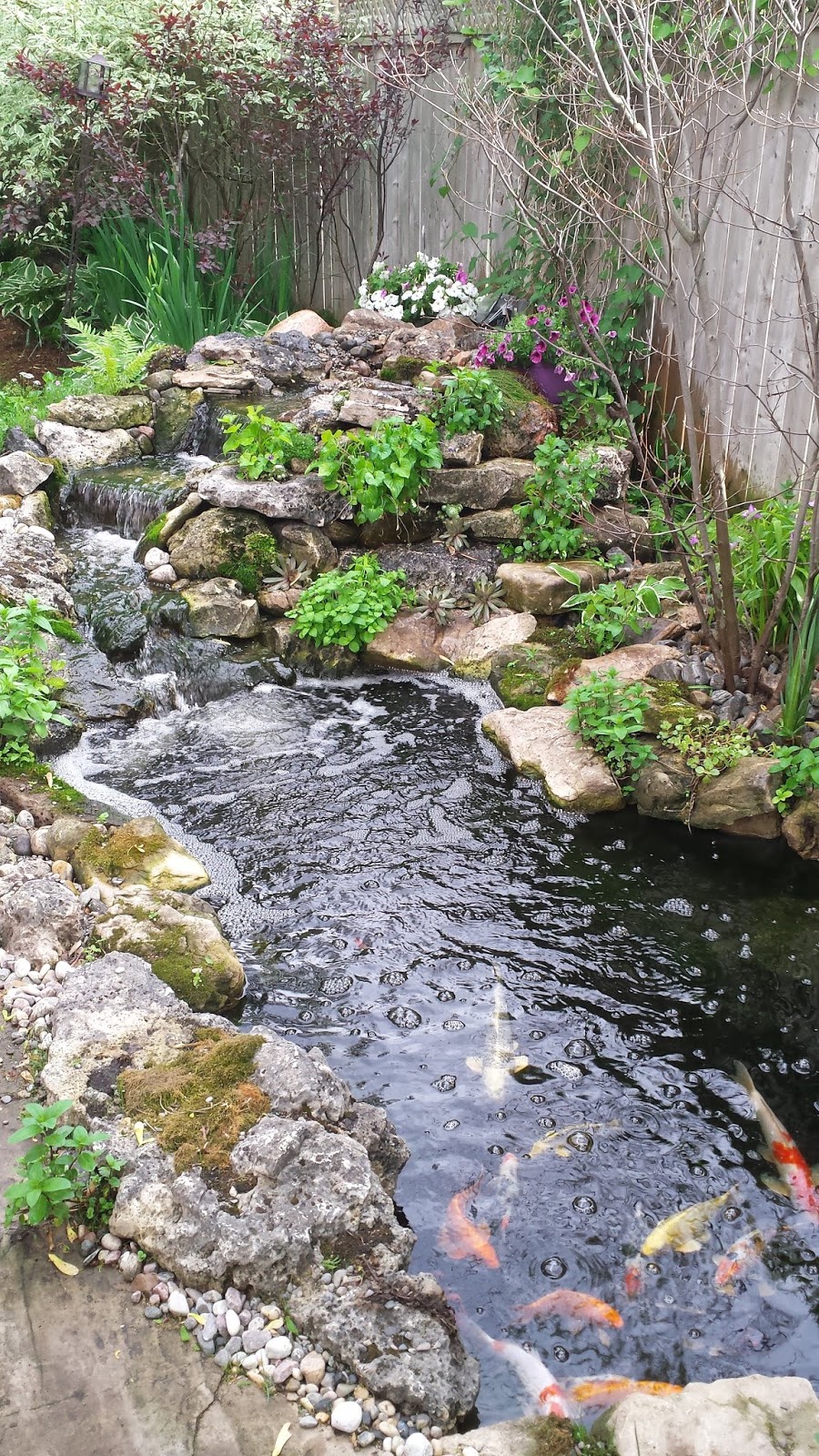 July Ponds and Landscaping | 83 Revell Dr, Fergus, ON N1M 0A5, Canada | Phone: (519) 217-2389