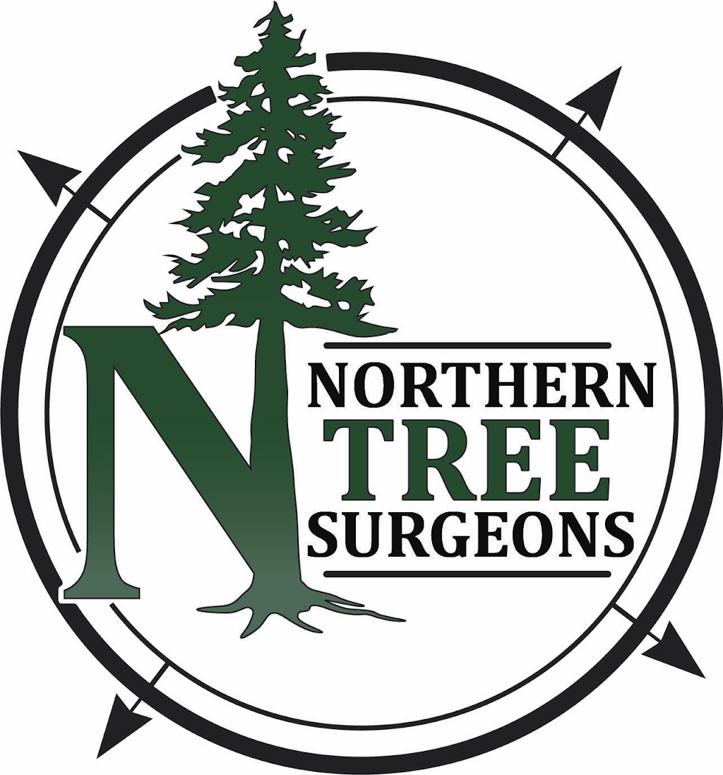 Northern Tree Surgeons | Botham Rd, Magnetawan, ON P0A 1P0, Canada | Phone: (705) 879-4508