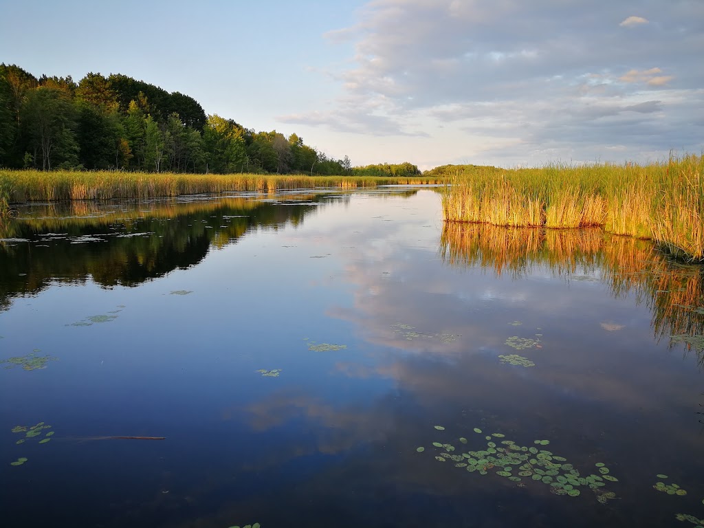 Mer Bleue Bog Trail | Ridge Rd, Ottawa, ON K0A 2Y0, Canada | Phone: (613) 239-5000