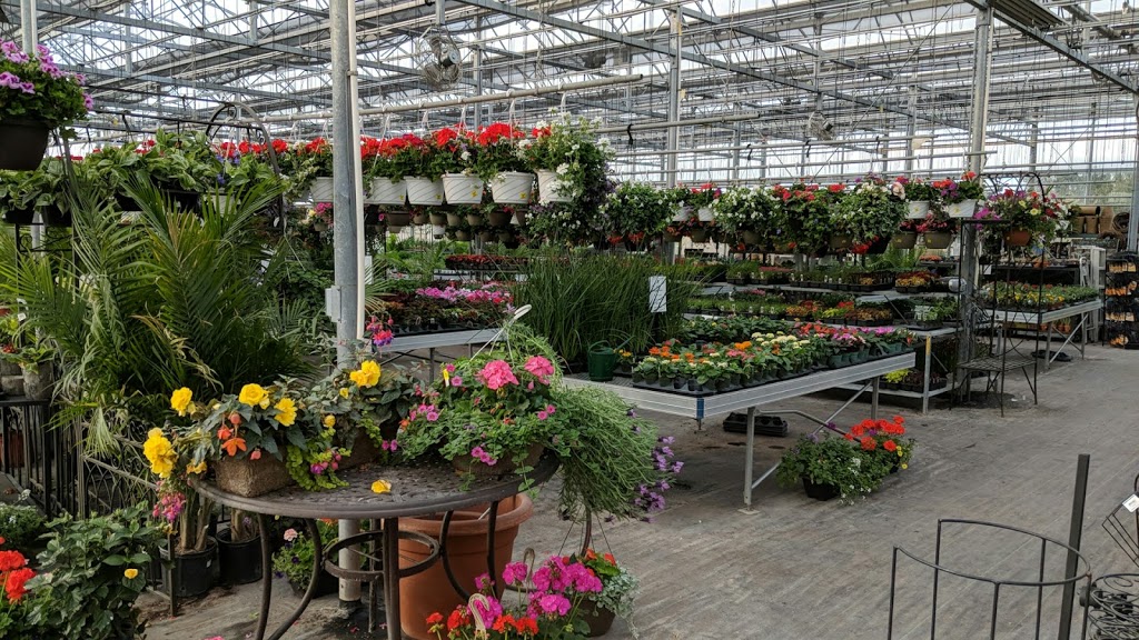 Meadow Acres Garden Centre | 2315 Queen St, Petersburg, ON N0B 2H0, Canada | Phone: (519) 634-5479