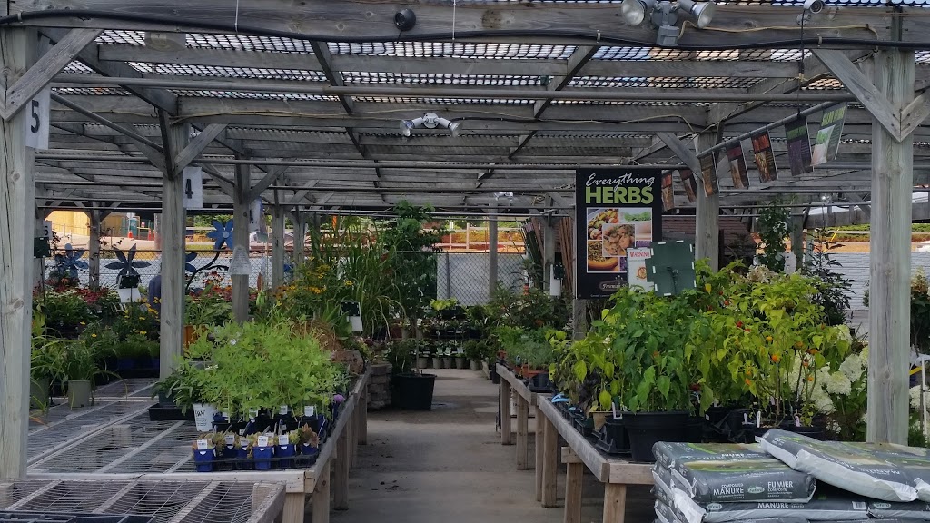 New Roots Garden Centre | 17235 Yonge St, Newmarket, ON L3Y 5L8, Canada | Phone: (905) 895-9727