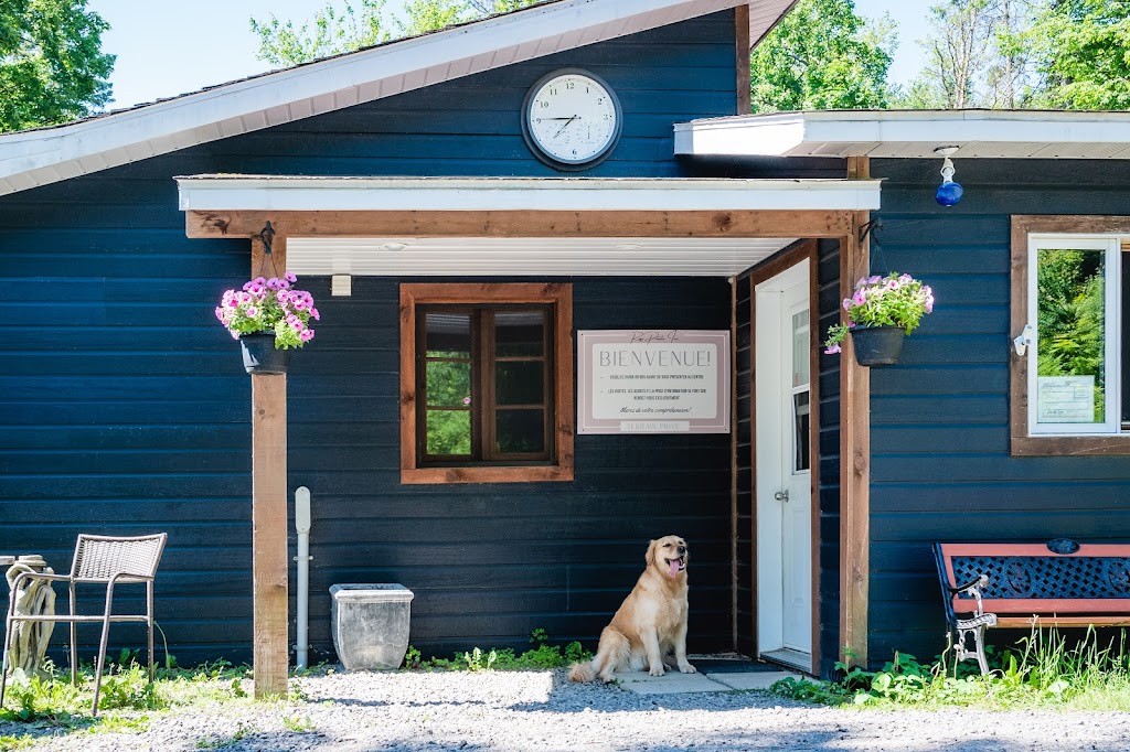 Centre Canin Rose Proulx Inc. | 1924 QC-329, Sainte-Agathe-des-Monts, QC J8C 2Z8, Canada | Phone: (438) 870-4128