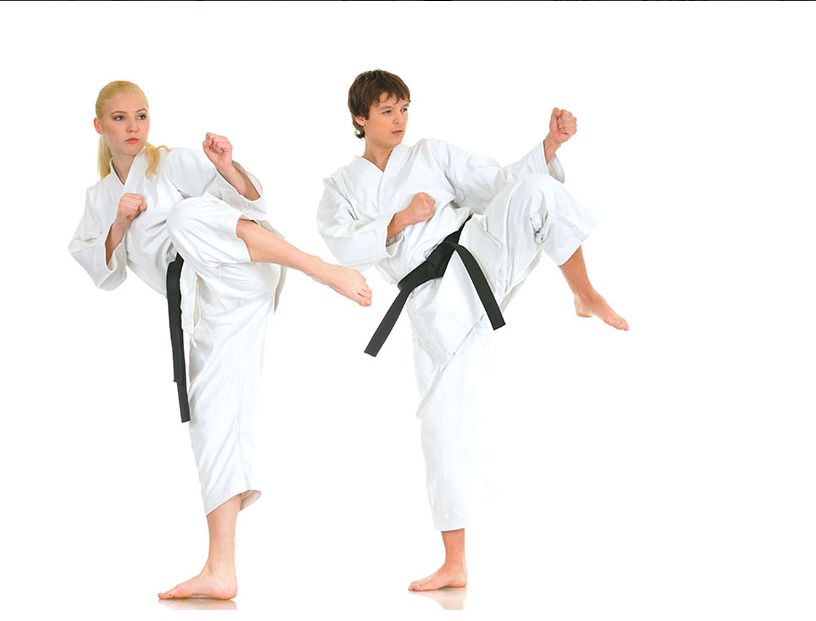 Dynamic Karate | 150 Violet Dr, Hamilton, ON L8E 6B4, Canada | Phone: (905) 928-5425