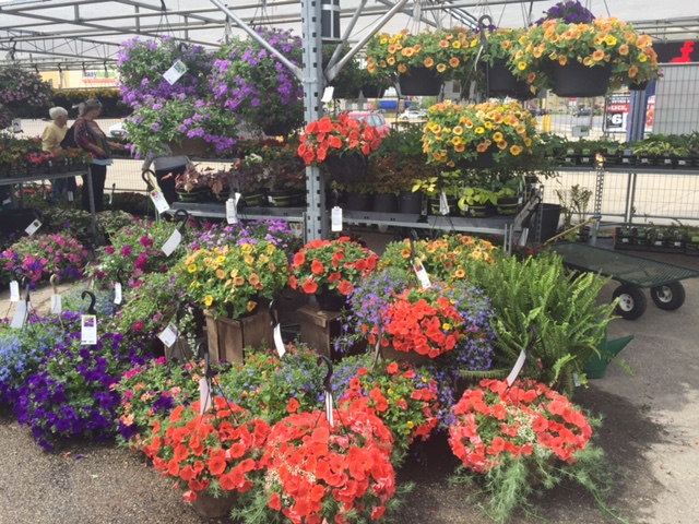 Gemmells Garden Centre | 885 Stewart Blvd, Brockville, ON K6V 5T4, Canada | Phone: (613) 803-9000