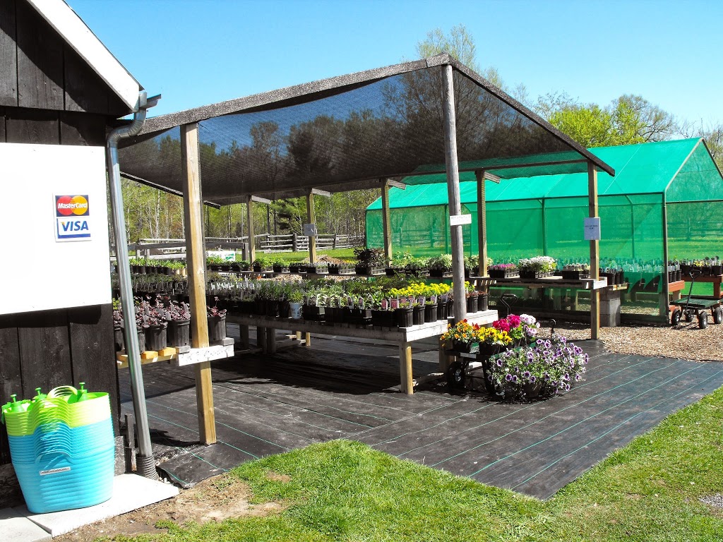 Crooked Creek Garden Centre | 4480 Concession Rd #4 Newtonville, Clarington, ON L0A 1J0, Canada | Phone: (905) 786-2212