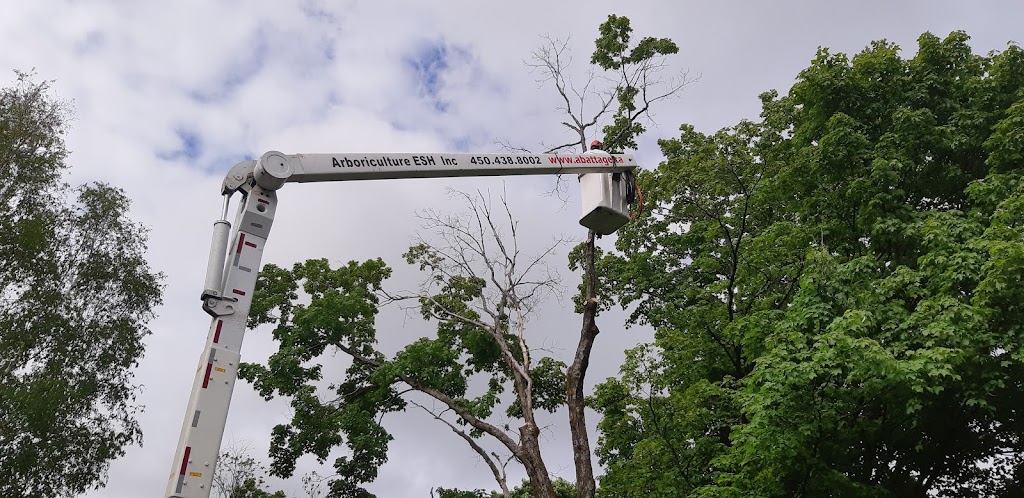 Arboriculture Esh Inc | 896 Rue Lamontagne, Saint-Jérôme, QC J5L 1V2, Canada | Phone: (450) 438-8002