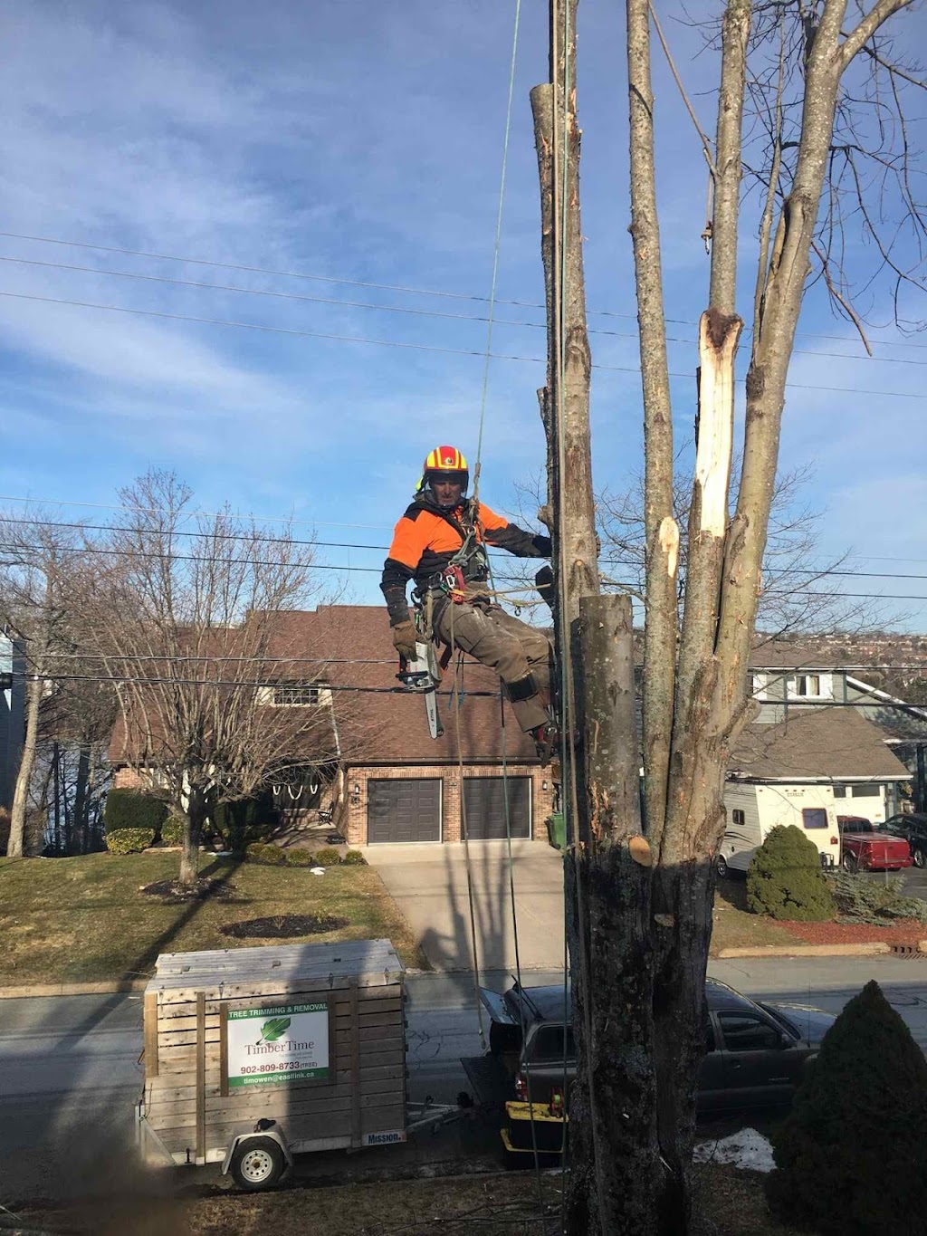 TimberTime Tree Service | 262 Montague Rd, Lake Loon, NS B2W 6C2, Canada | Phone: (902) 809-8733