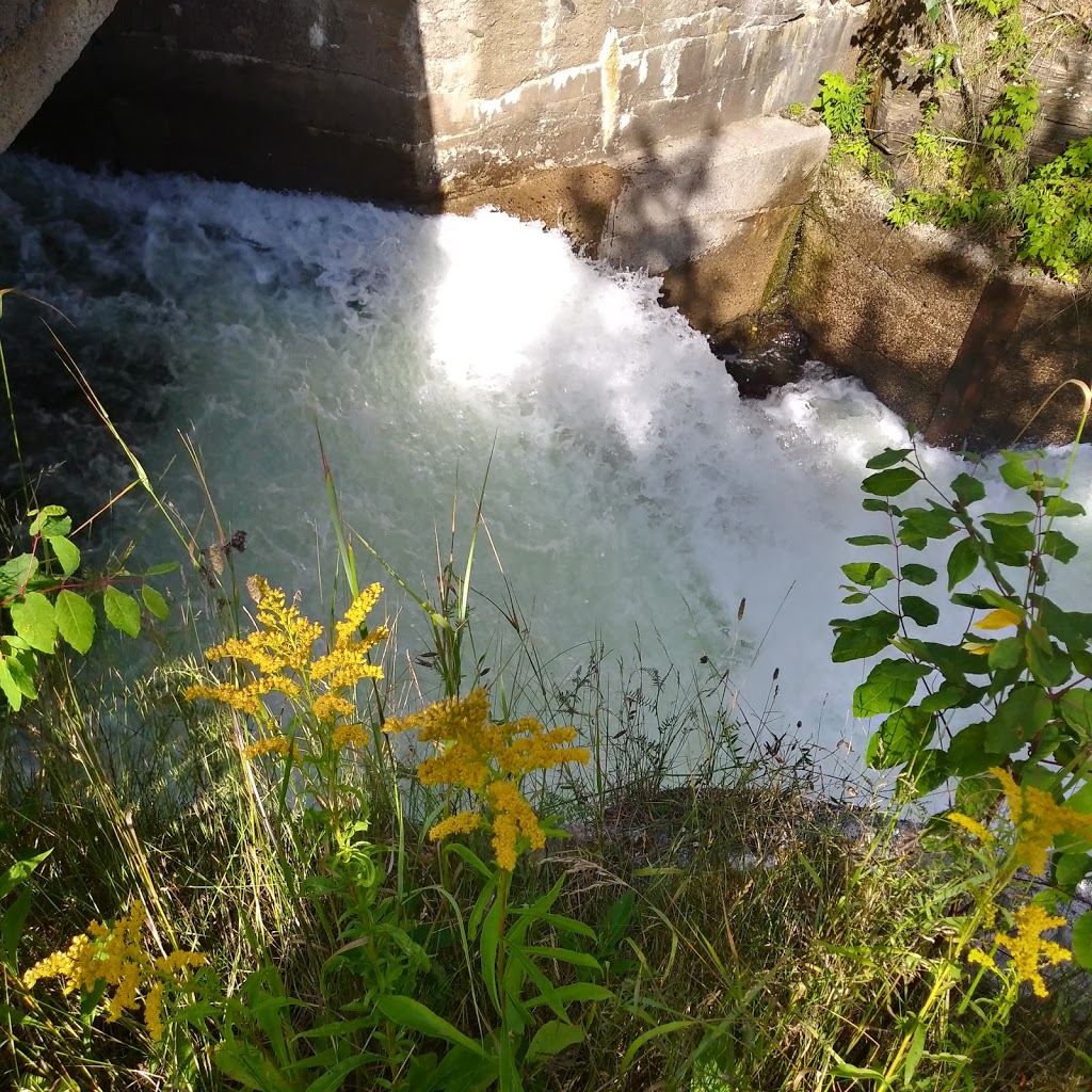 Buttermilk Falls | 16946 ON-35, Algonquin Highlands, ON K0M 1J1, Canada | Phone: (705) 489-1904