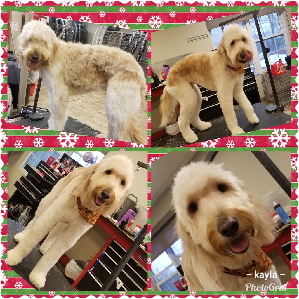 The Barkside Dog Grooming Boutique | 1581 Ridge Rd N, Ridgeway, ON L0S 1N0, Canada | Phone: (905) 993-0371