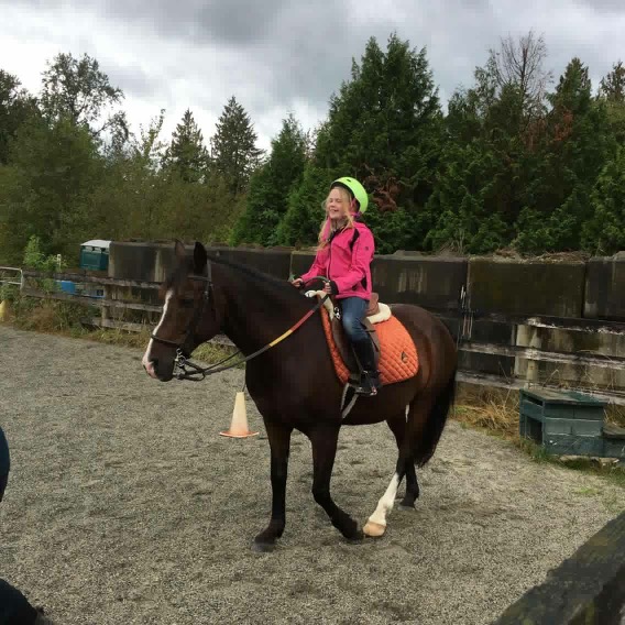 Sacred Equestrians | 22603 64 Ave, Langley City, BC V2Y 2N8, Canada | Phone: (778) 549-2585