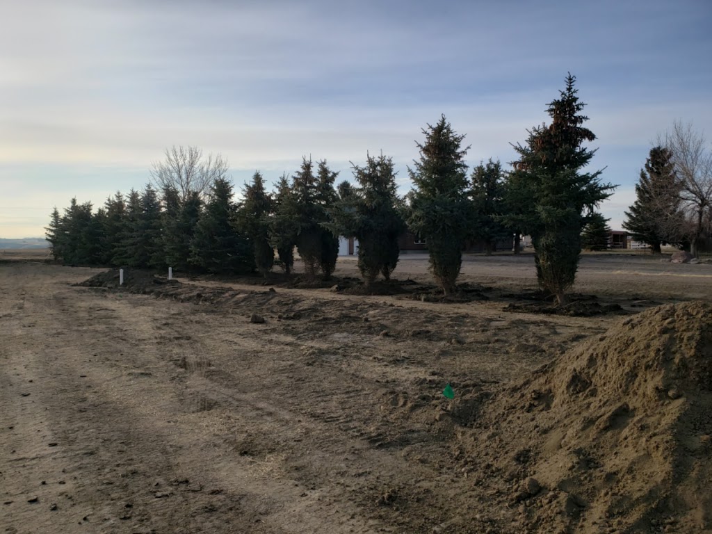 Legacy Trees | Township Rd 92, Coalhurst, AB T0L 0V0, Canada | Phone: (403) 715-8711