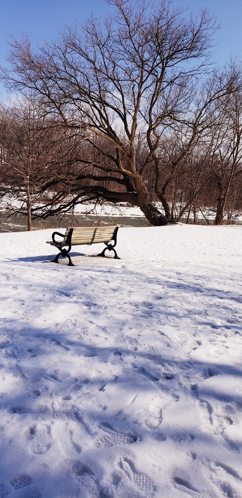 Raymore Park Dog Off Leash Area | Humber River Recreational Trail, Etobicoke, ON M9P 2S4, Canada