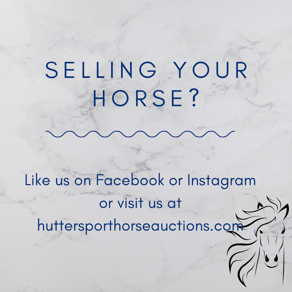 Hutter Sport Horse Auctions | 3083 268 St, Aldergrove, BC V4W 3E4, Canada | Phone: (604) 996-3996