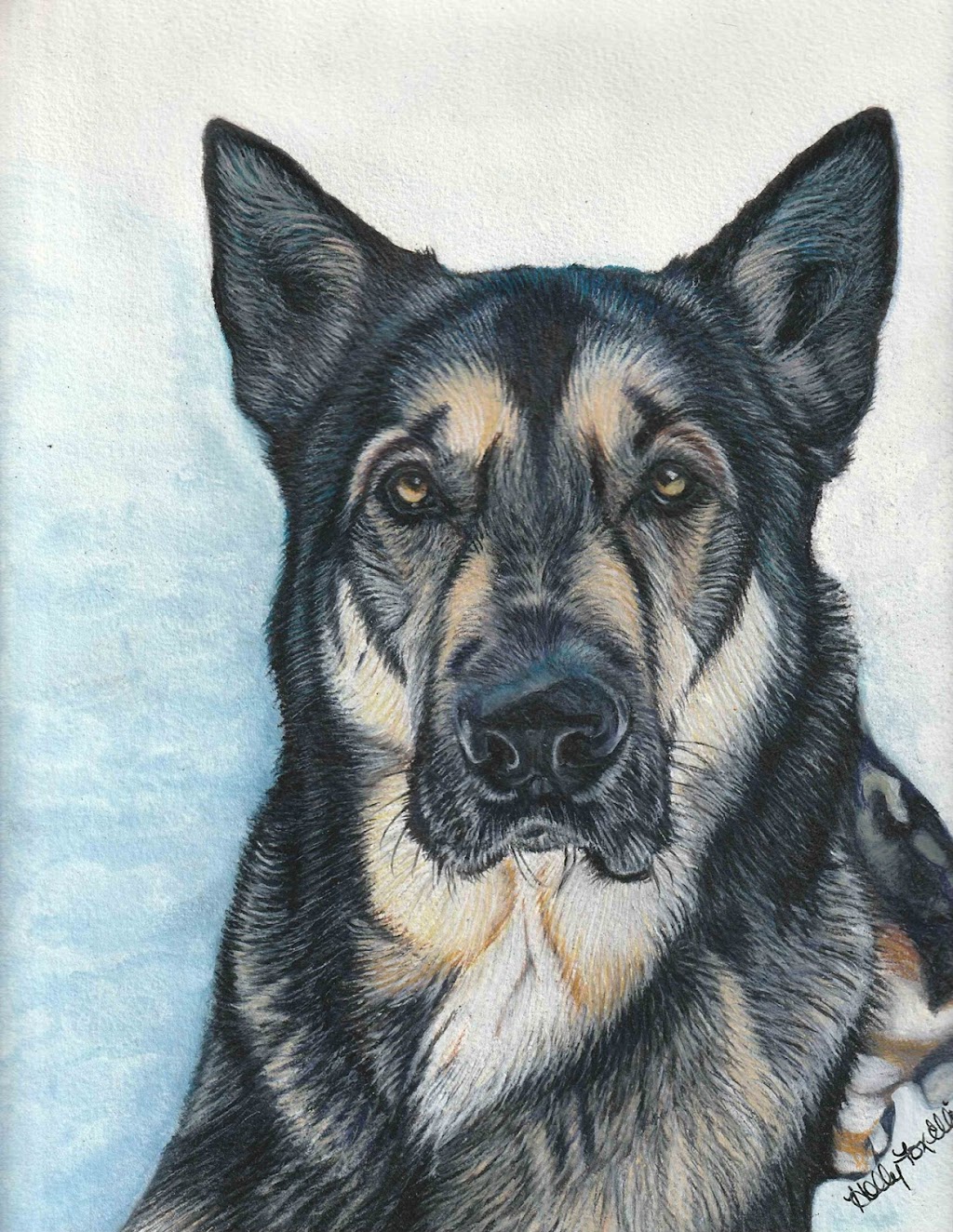 Custom Pet Portraits By : The Artwork of Holly Fox Ellis | 460 Greene Ave, Winnipeg, MB R2K 0M1, Canada | Phone: (204) 990-4329