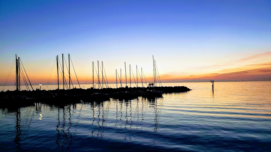 White Rock Sea Tours and Whale Watch Vancouver | Crescent Beach Marina, 12555 Crescent Rd, Surrey, BC V4A 2V4, Canada | Phone: (604) 868-1755