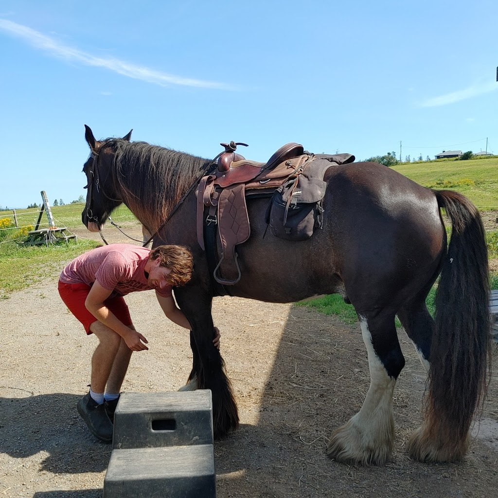 Serenity Acres Family Ranch | 7321 Nova Scotia Trunk 1, Ellershouse, NS B0N 1L0, Canada | Phone: (902) 791-1215