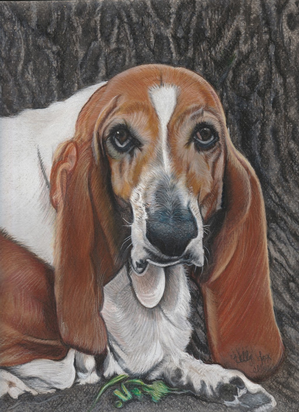 Custom Pet Portraits By : The Artwork of Holly Fox Ellis | 460 Greene Ave, Winnipeg, MB R2K 0M1, Canada | Phone: (204) 990-4329