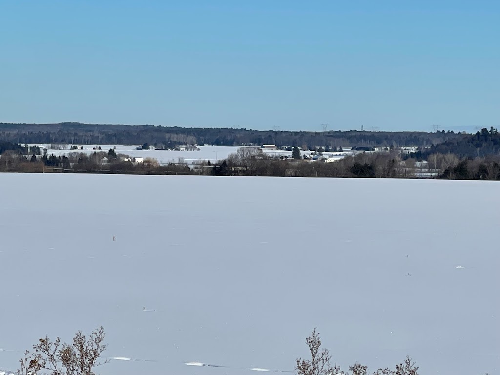 Le Ranch du Bengal | 720 Rang Castle dAutray, St Félix de Valois, QC J0K 2M0, Canada | Phone: (450) 491-7556