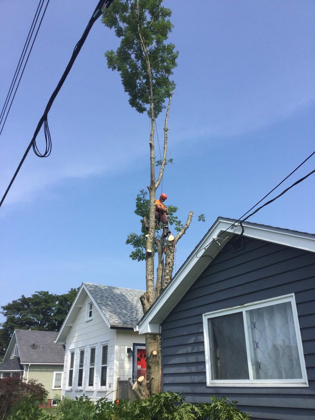 Burlin Nickerson Tree Service | 447 Nova Scotia Trunk 3, Lower East Pubnico, NS B0W 2A0, Canada | Phone: (902) 635-3154