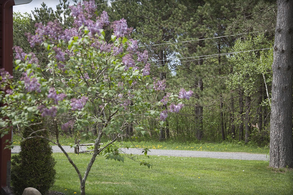 Chalet Bord de Leau | 123 Rang Saint François, Saint-Louis-de-Blandford, QC G0Z 1B0, Canada | Phone: (819) 352-2050