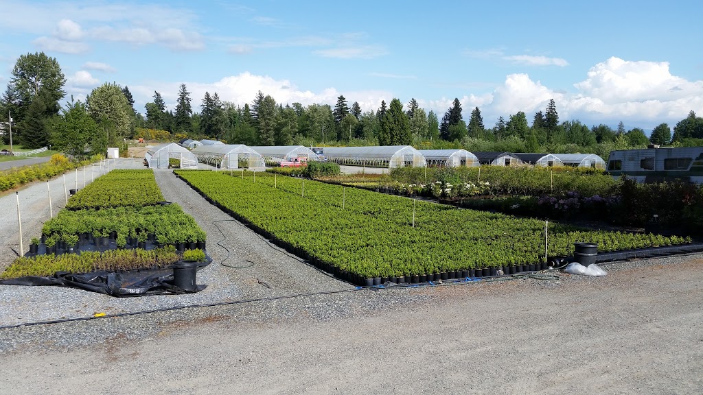 Green Mountain Nursery Ltd. | 2682 Lefeuvre Rd, Abbotsford, BC V4X 1H6, Canada | Phone: (604) 300-7226