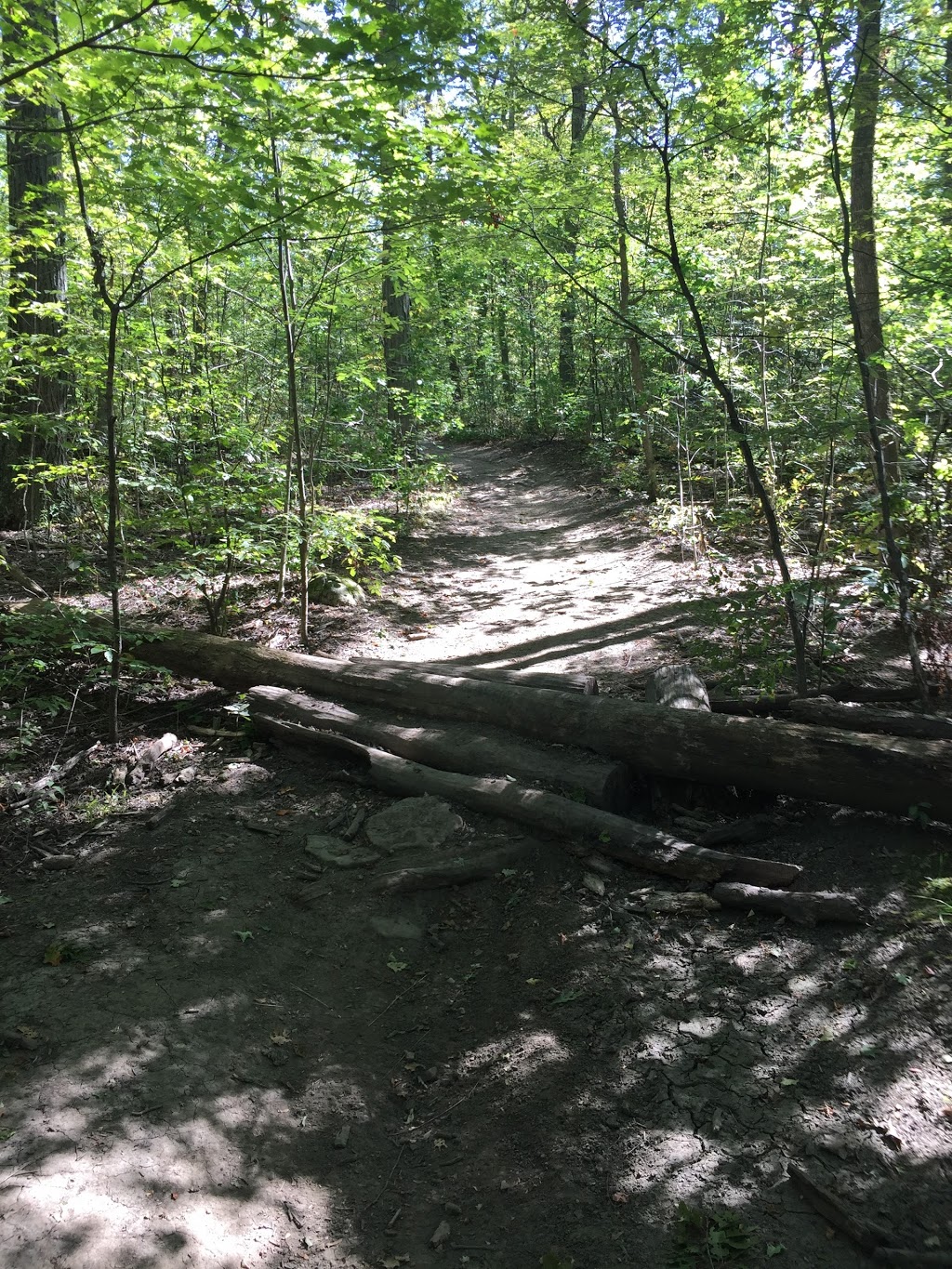 Bruce trail | 2C0, Bruce Trail, Vineland, ON L0R 2C0, Canada