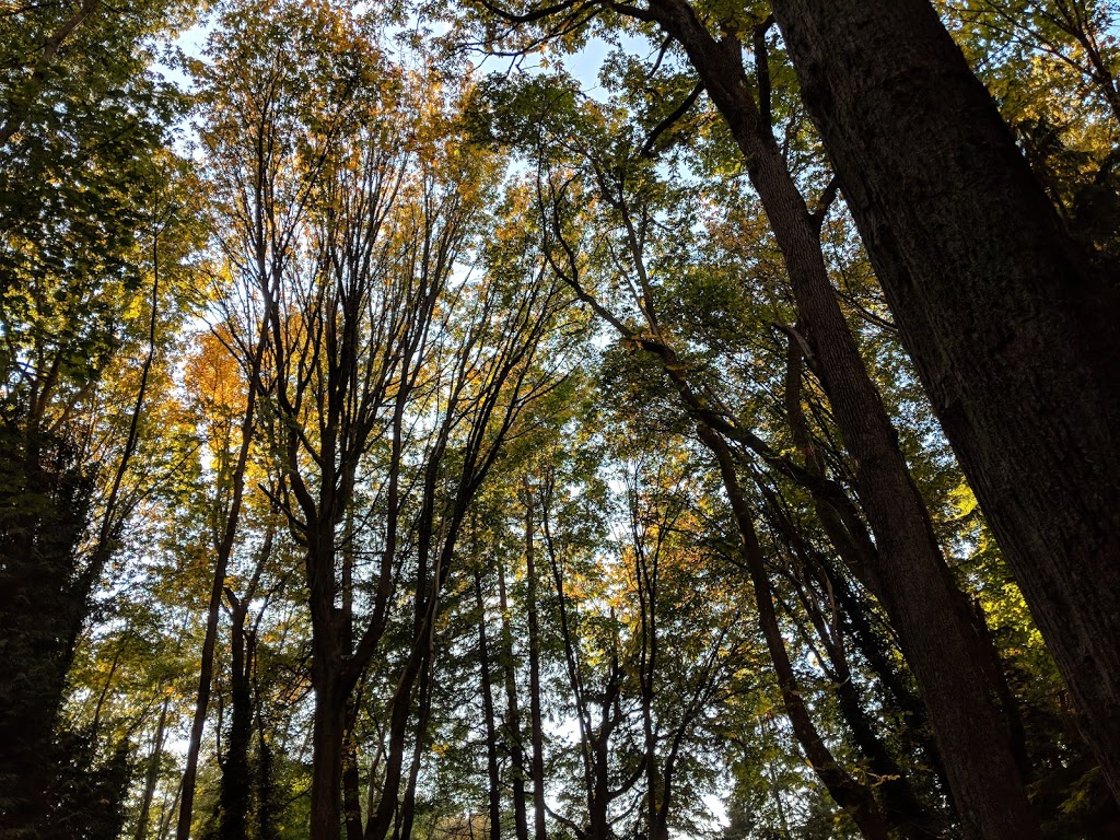 Tower Beach Trail | Trail 3, Vancouver, BC V6T 1X8, Canada