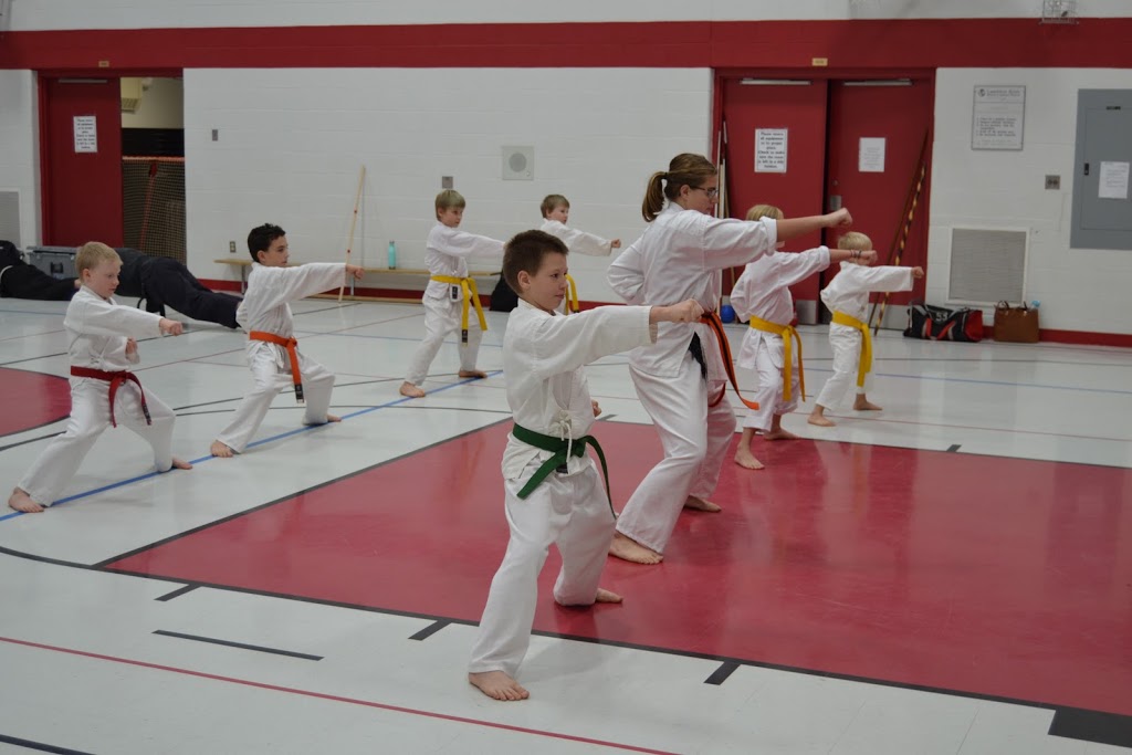 Bernardo Karate And Cardio Kickboxing | 15 Gill Rd, Grand Bend, ON N0M 1T0, Canada | Phone: (519) 318-9003